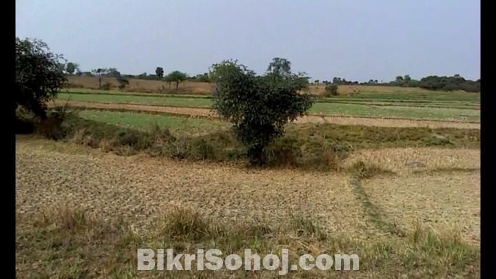 52 bigha land for sale